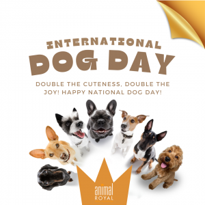 Journée internationale du chien