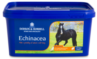 Echinacea - Dried