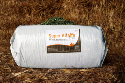 Super Alfalfa
