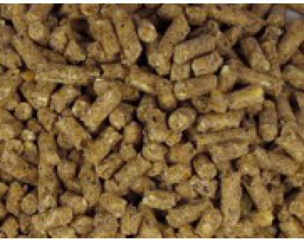 Suregrow Pellets