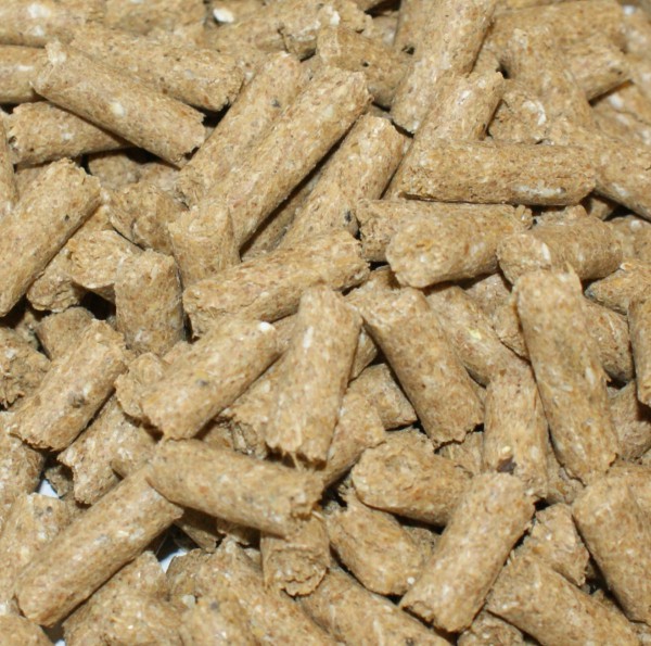 Stud Cubes