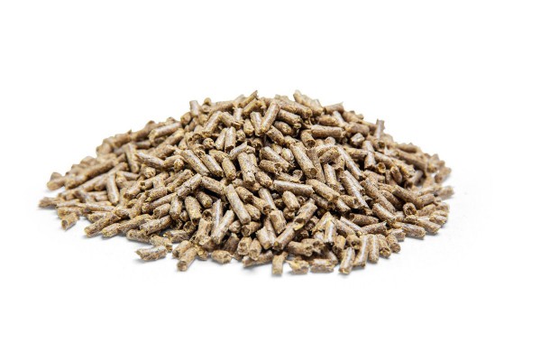 Spillers Senior Super Mash 20kg