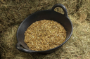 Spillers Conditioning Fibre 20kg