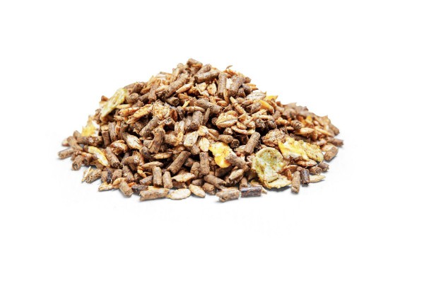 Senior Conditioning Mix