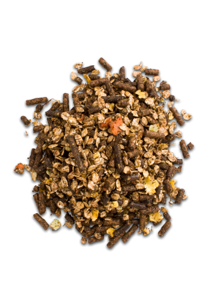 Pasture Mix