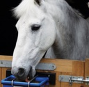 Horslyx Holder | 5 kg