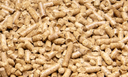 CATMAX Litière 100% pellets de paille
