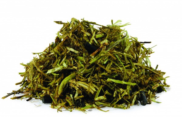Alfalfa Oil Plus