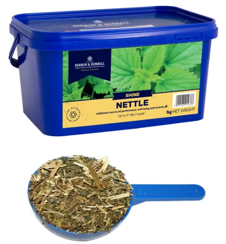 Nettle - Ortie Séchée