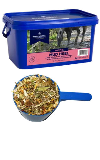 [DH-6MF] Mud Heel - Dried