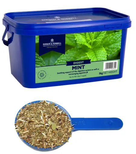 Munt - Gedroogd (1 kg)