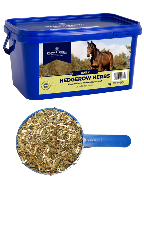 Hedgerow Herbs - Gedroogd