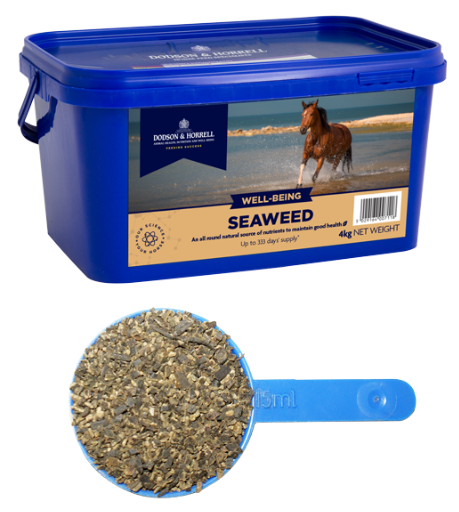 [DH-6SW] Seaweed - Gedroogd (2 kg)