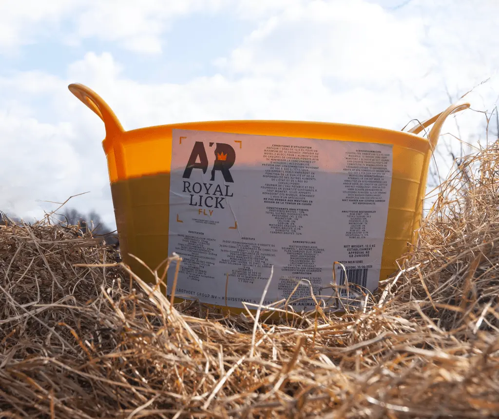 [AR-RLFY] AR Royalick Fly