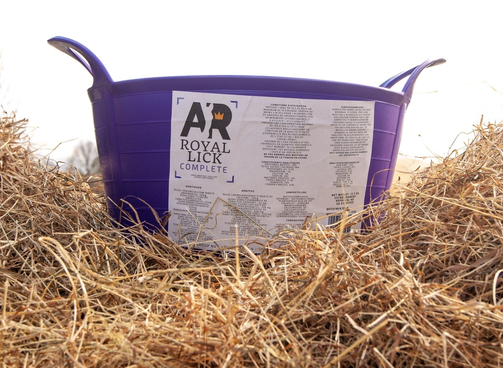 AR Royalick Complete