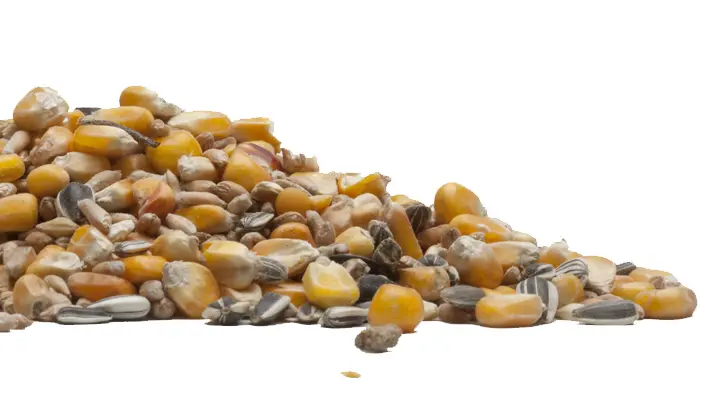 Broken grain extra 25kg 