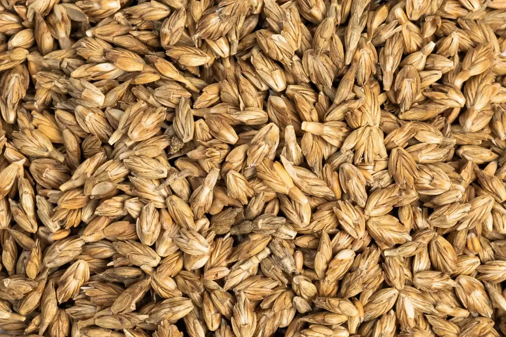 [AR-GS-0928] Spelt 20kg 