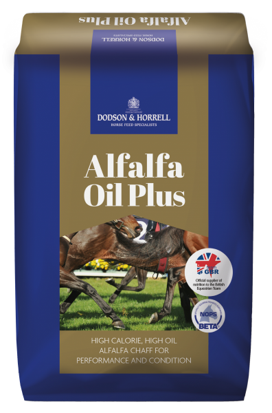Alfalfa Oil Plus