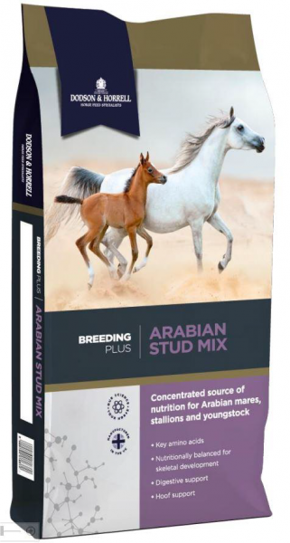 Arabian Stud Mix