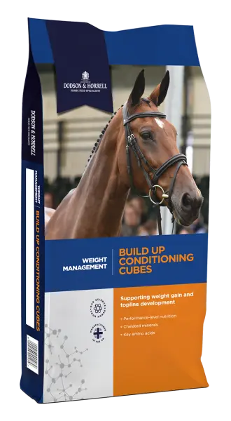 Build Up Conditioning Cubes