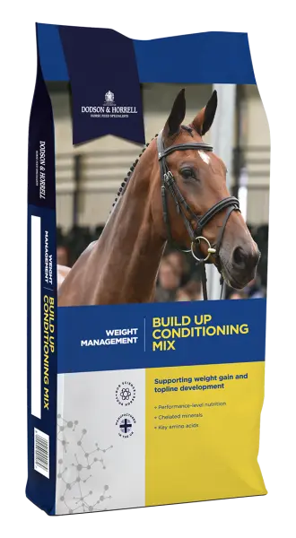 [DH-1BU] Build Up Conditioning Mix