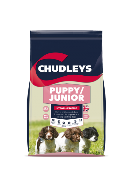 [UP-DH-XPJR] Chudleys Puppy / Junior
