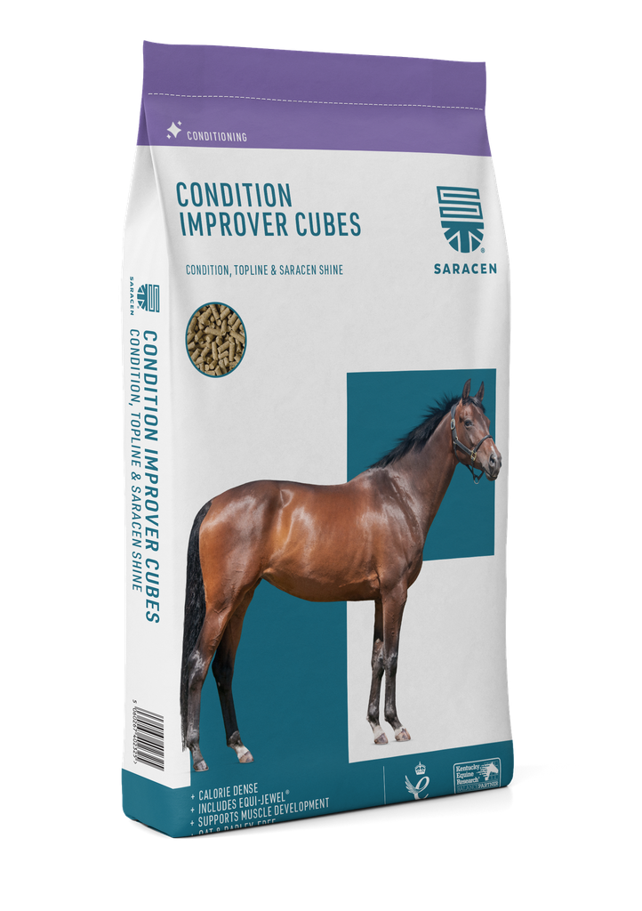 [S-CIC] ﻿Condition-Improver Cubes﻿