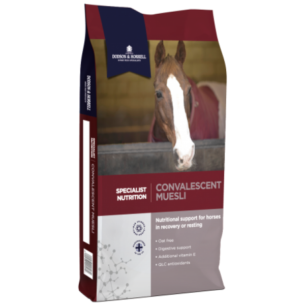 [DH-1CTM] Convalescent Muesli