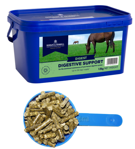 Digestive Support