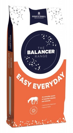 [DH-1EE] Easy Everyday Balancer