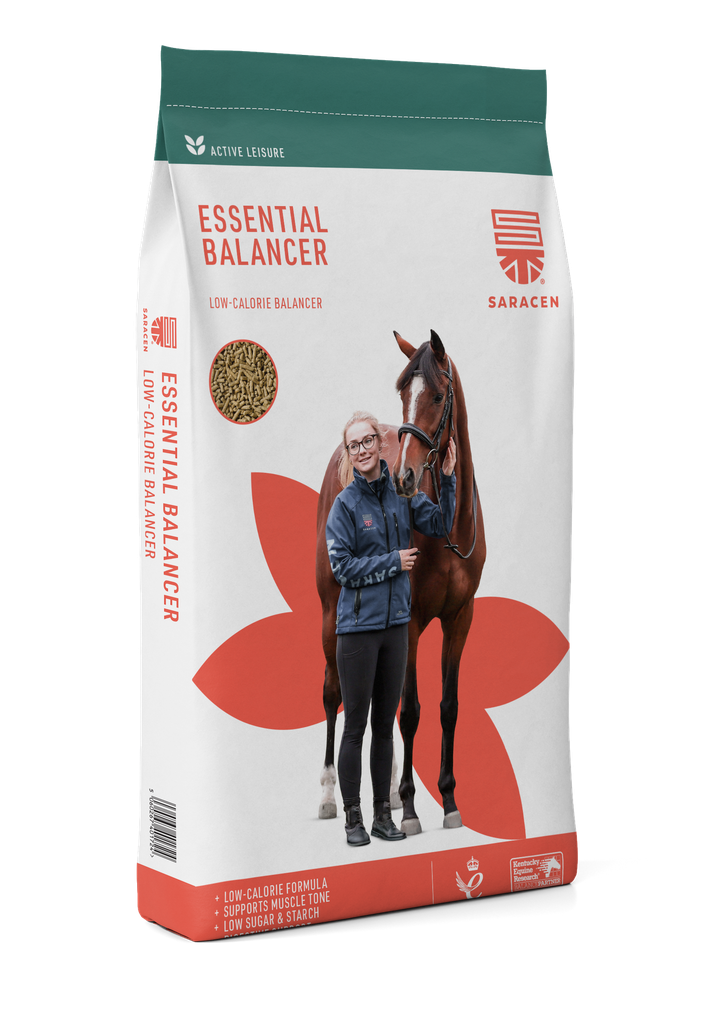 [S-EB] Essential Balancer