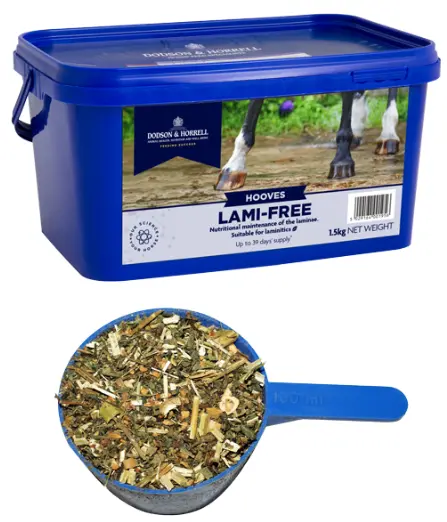 Lami-Free