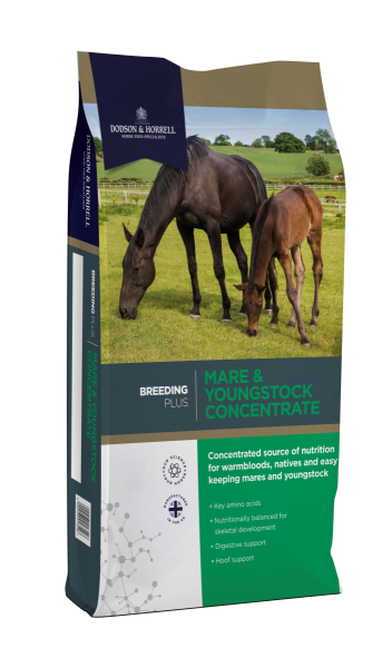 Mare & Youngstock Concentrate