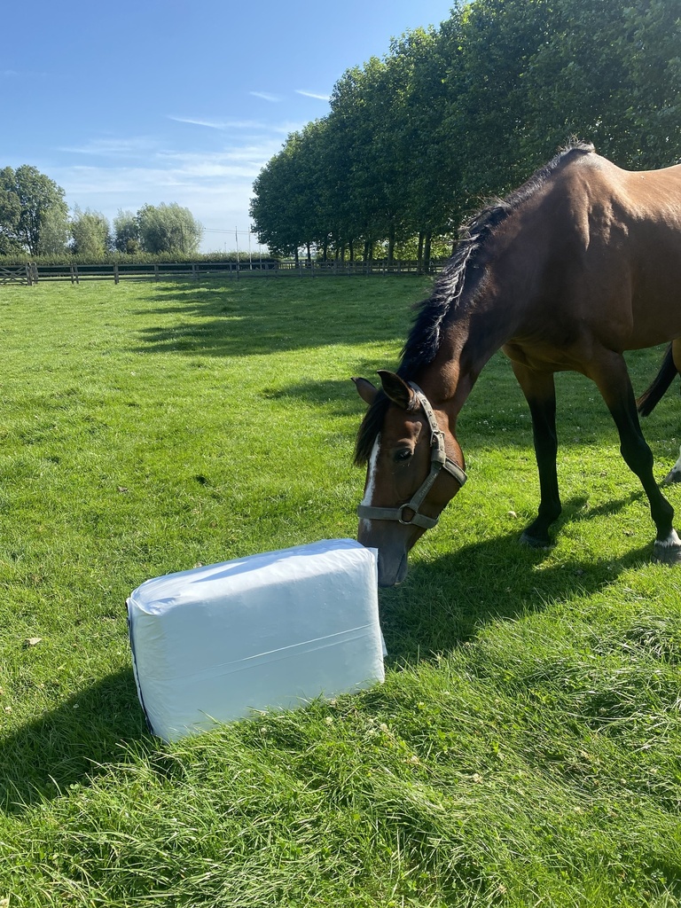 AR Royal Fibre Haylage