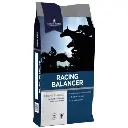 Racing Balancer