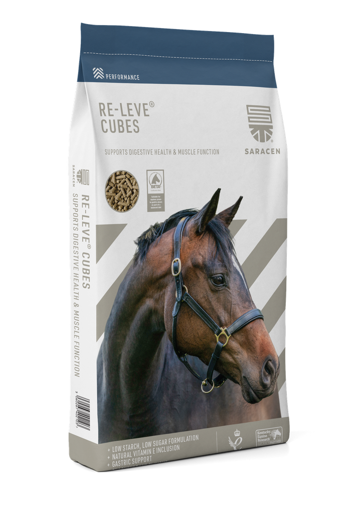 [S-RLC] Re-Leve Cubes