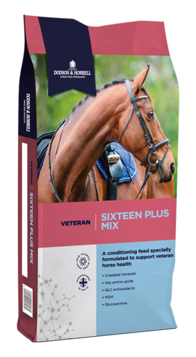 Sixteen Plus Mix