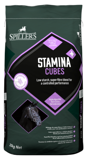 Stamina + Cubes