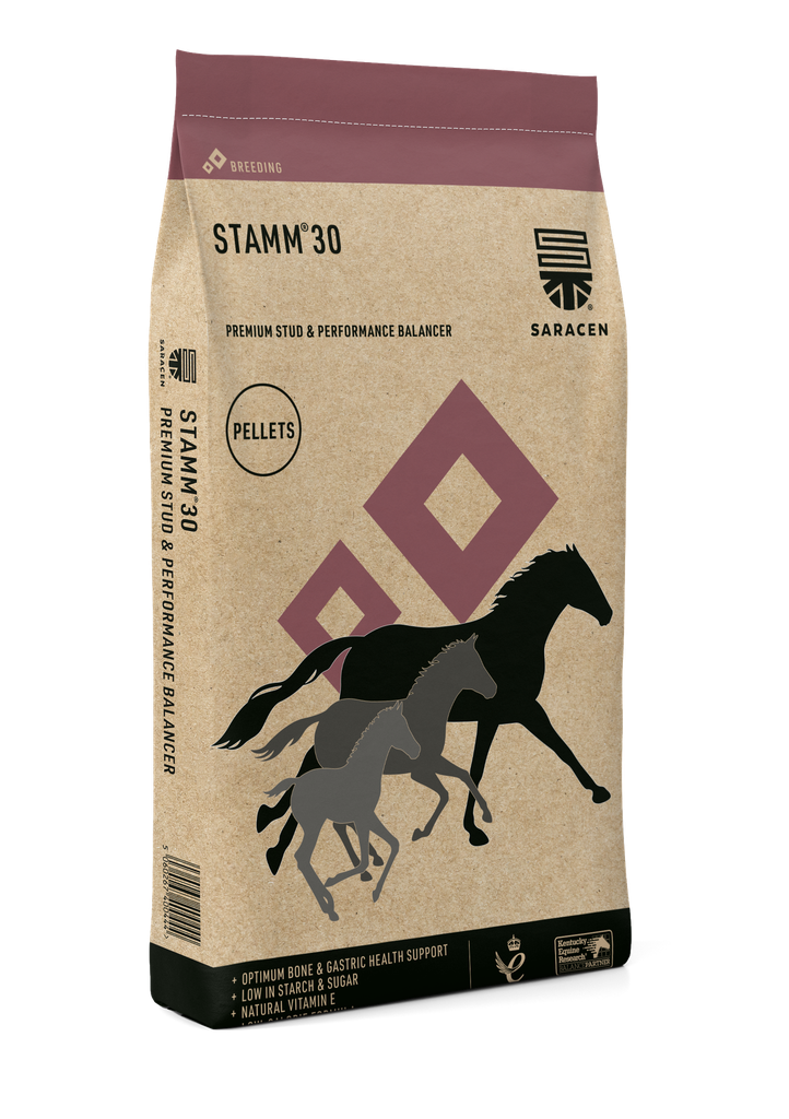 Stamm 30 balancer