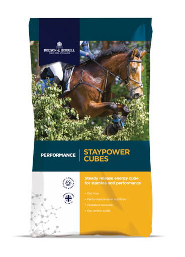 [DH-1SPC] Staypower Cubes