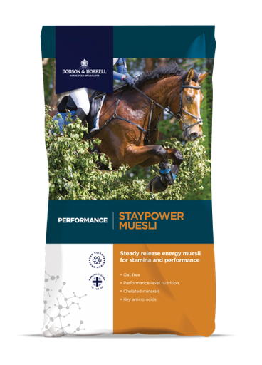 [DH-1SPM] Staypower Muesli