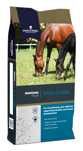 Stud Cubes D&H