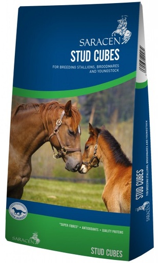 Stud Cubes Saracen