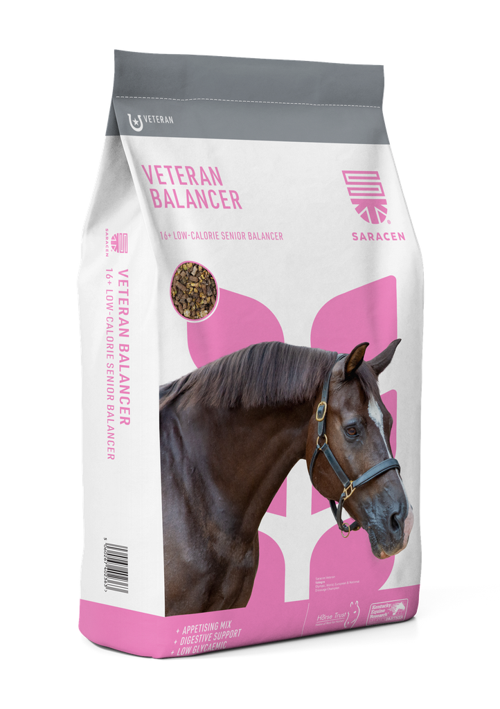 [S-VB] Veteran Balancer