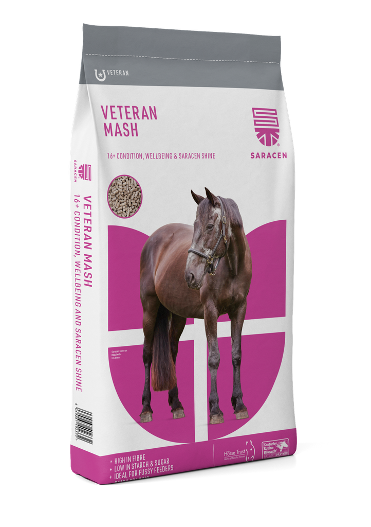 [S-VMSH] Veteran Mash