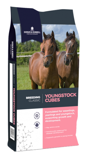 Youngstock Cubes