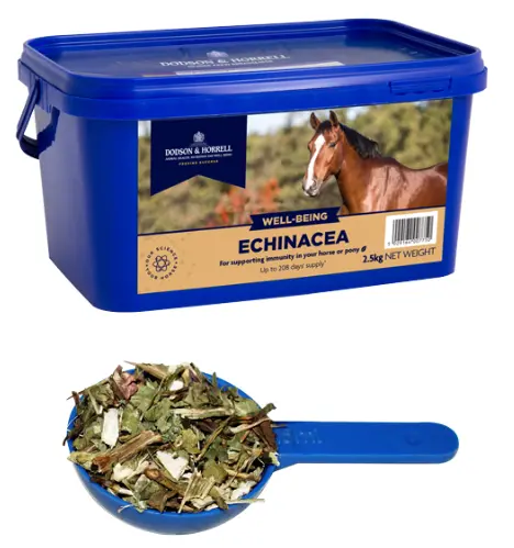 [DH-6E] Echinacea - Dried (1 kg)