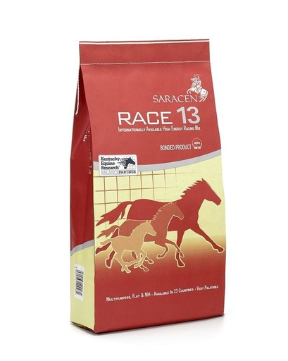 [S-R13] Race 13