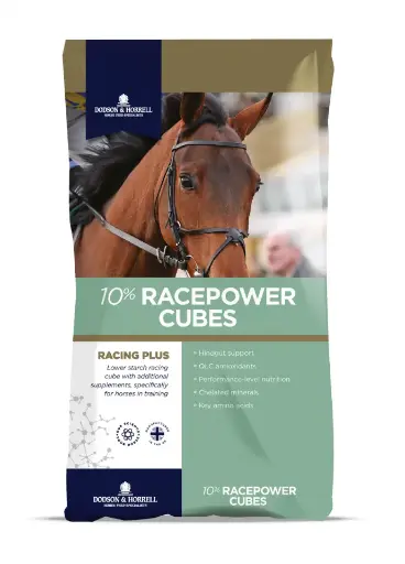 [DH-1RPW10] 10% Racepower Cubes