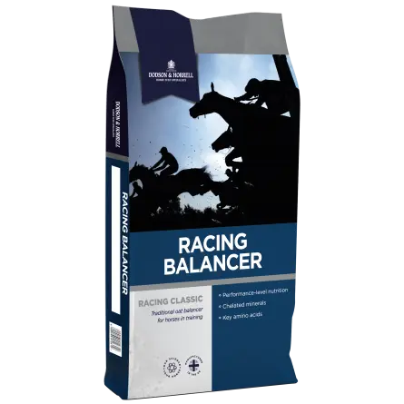 [DH-1RB] Racing Balancer